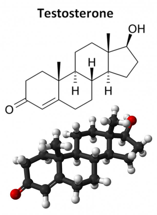 steroide anabolisant definition - So Simple Even Your Kids Can Do It